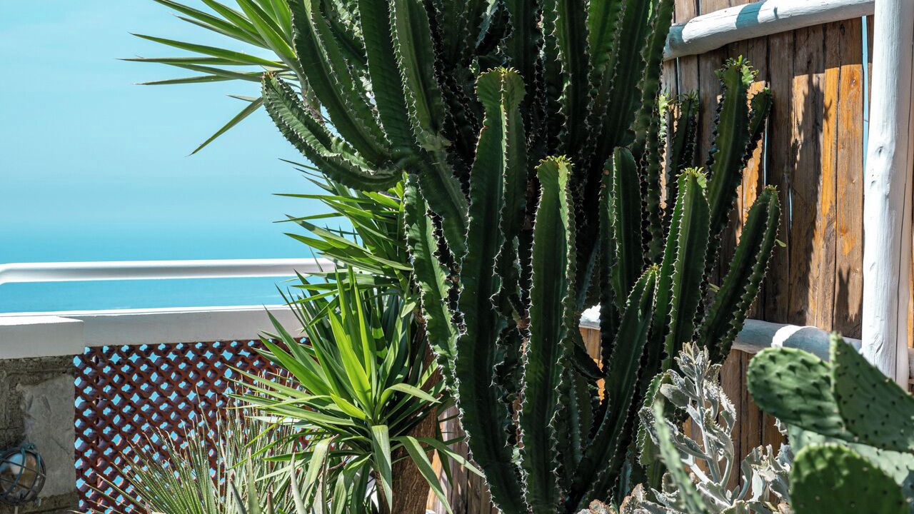 Photo of Outdoor in Piano di Sorrento
