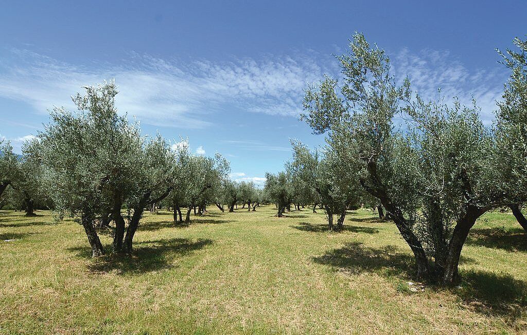Photo of Others in Capodacqua