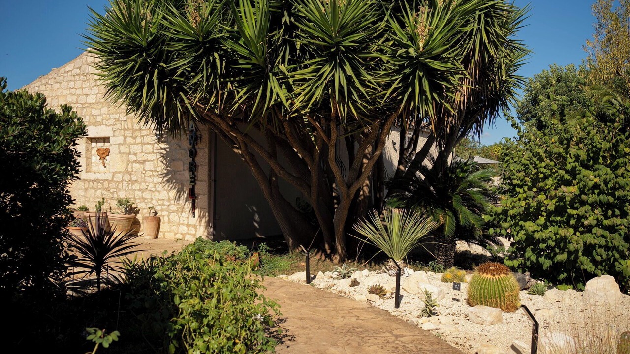 Photo of Outdoor in Casa Papa