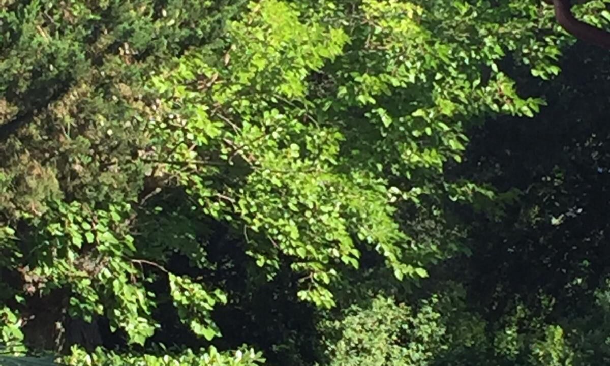 Photo of Outdoor in Narni