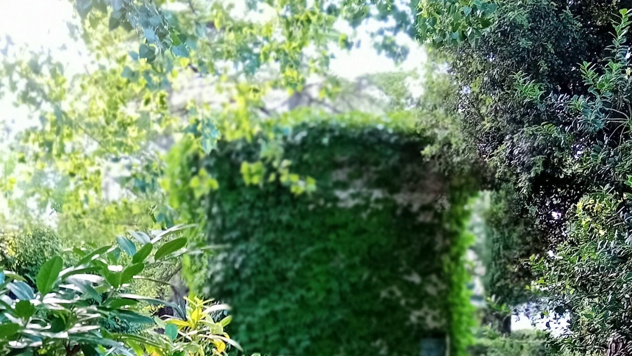 Photo of Outdoor in Narni