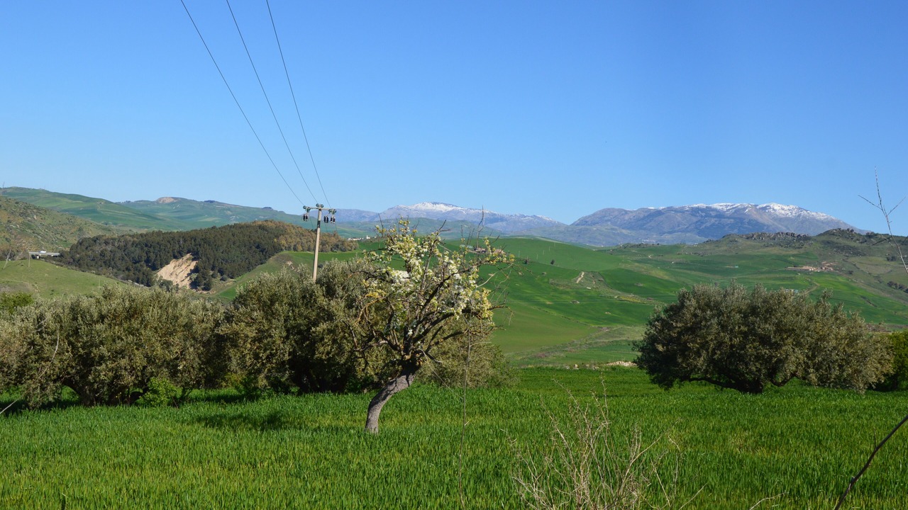 Photo of Others in Resuttano