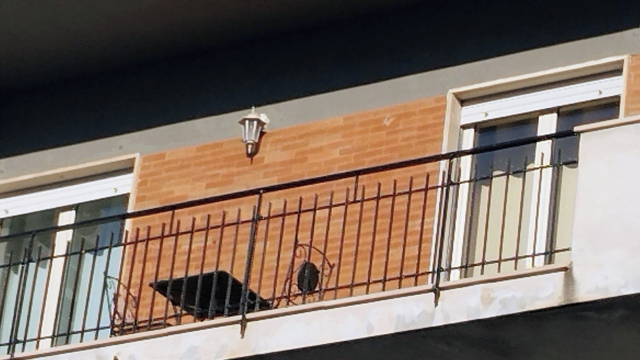 Photo of Outdoor in Praia a Mare