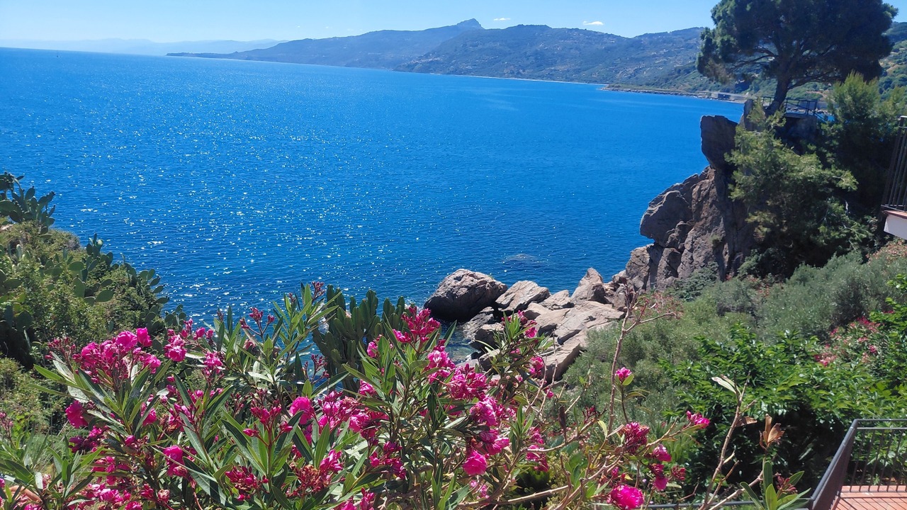 Photo of Others in Cefalu