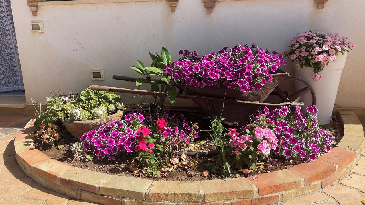 Photo of Outdoor in Sciacca