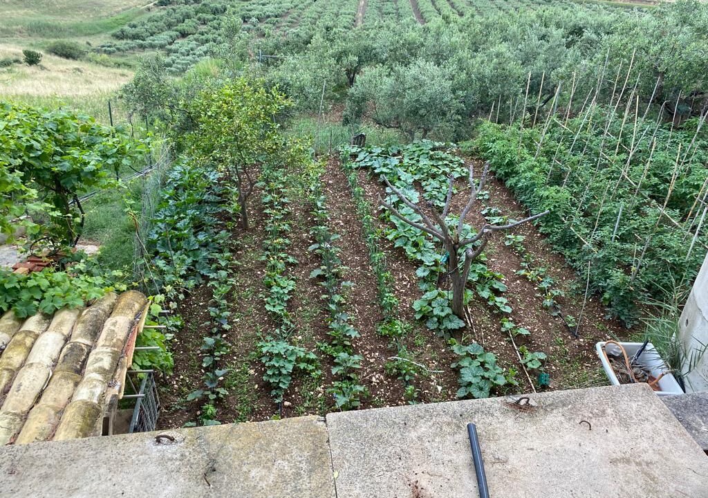 Photo of Outdoor in Sciacca