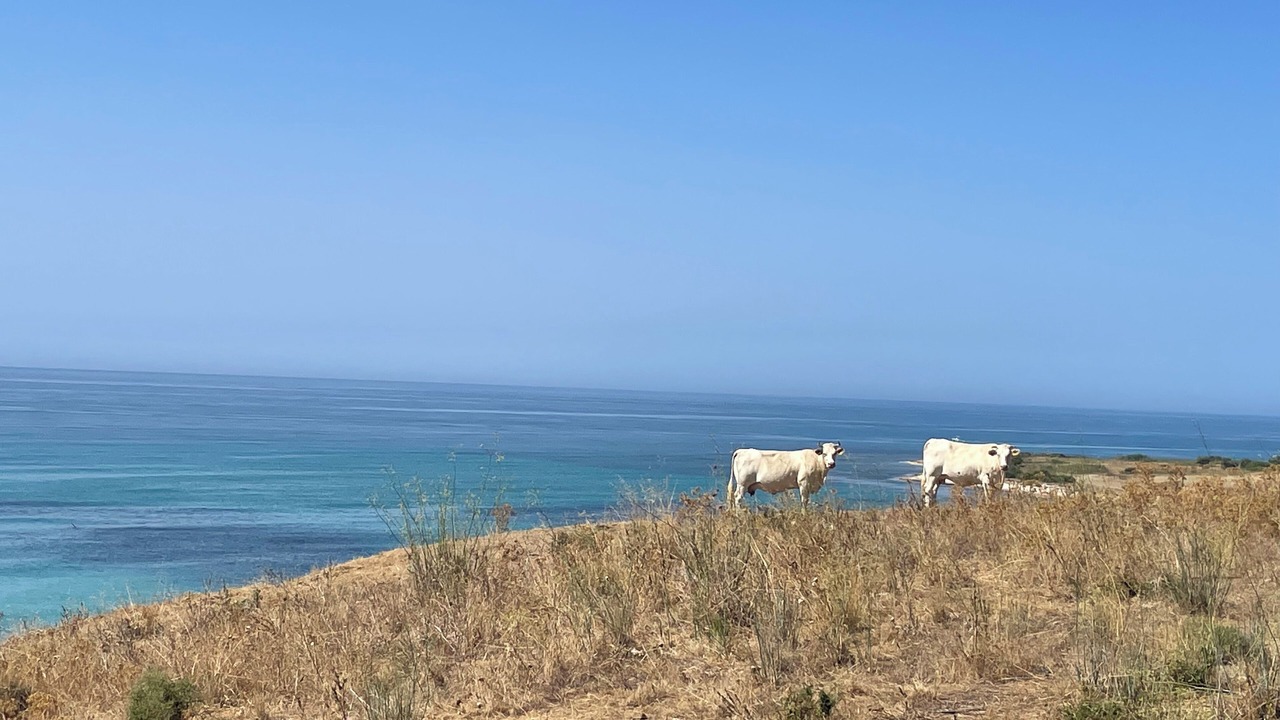 Photo of Others in Sciacca