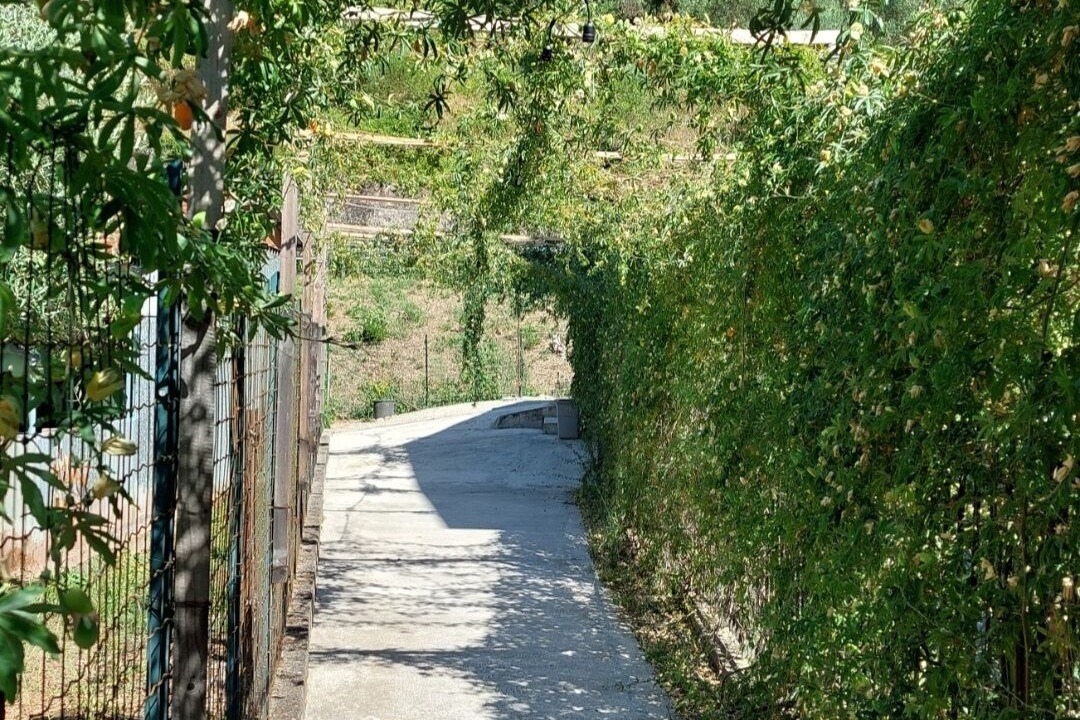 Photo of Outdoor in Castelnuovo Cilento
