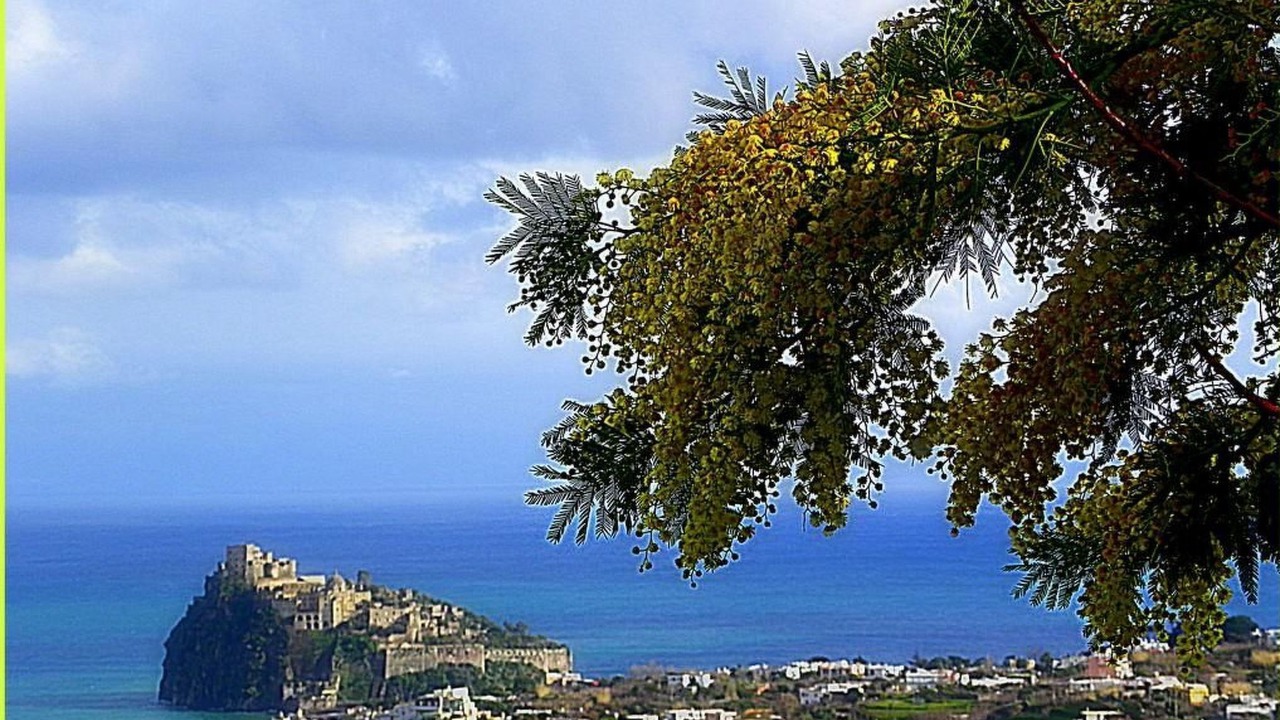 Photo of Others in Fiaiano