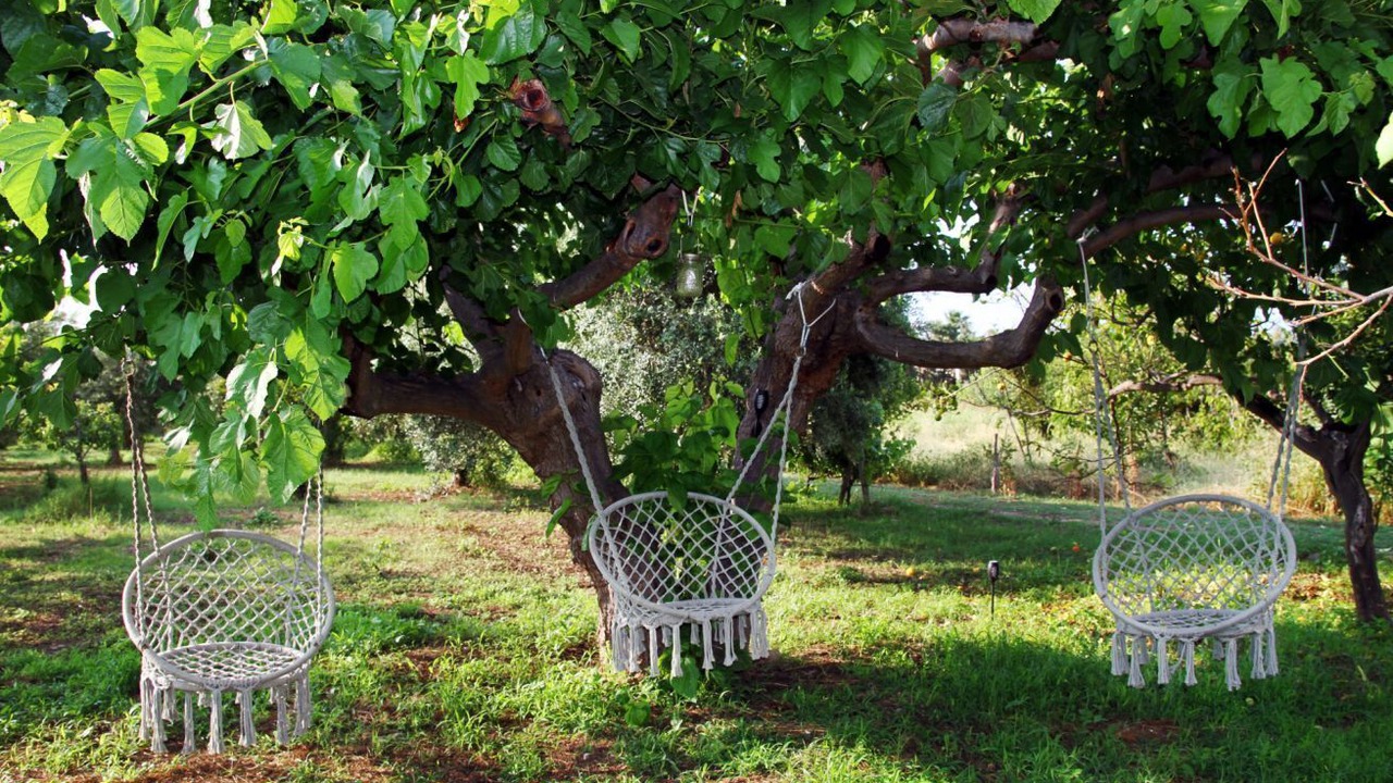 Photo of Outdoor in Caronia