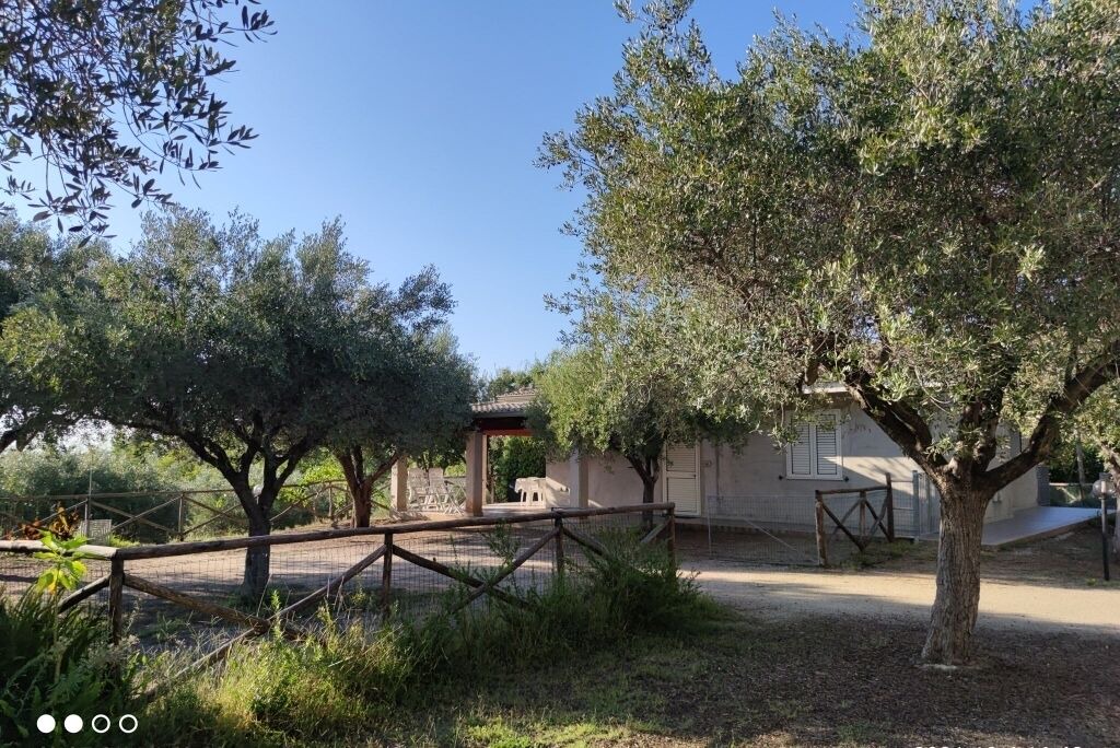 Photo of Outdoor in Santa Maria