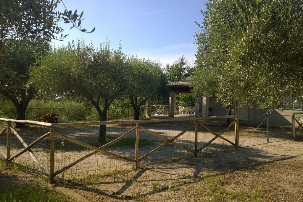 Photo of Outdoor in Santa Maria