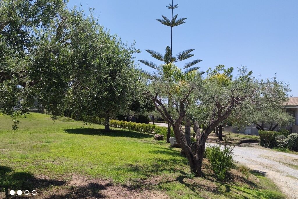 Photo of Outdoor in Santa Maria
