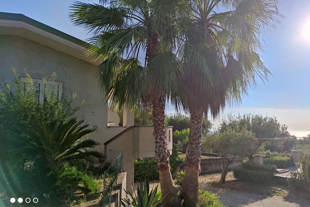 Photo of Outdoor in Santa Maria