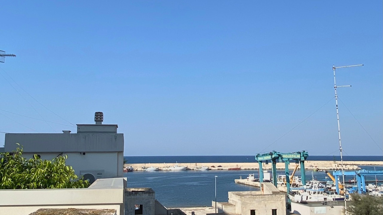 Photo of Others in Mola di Bari
