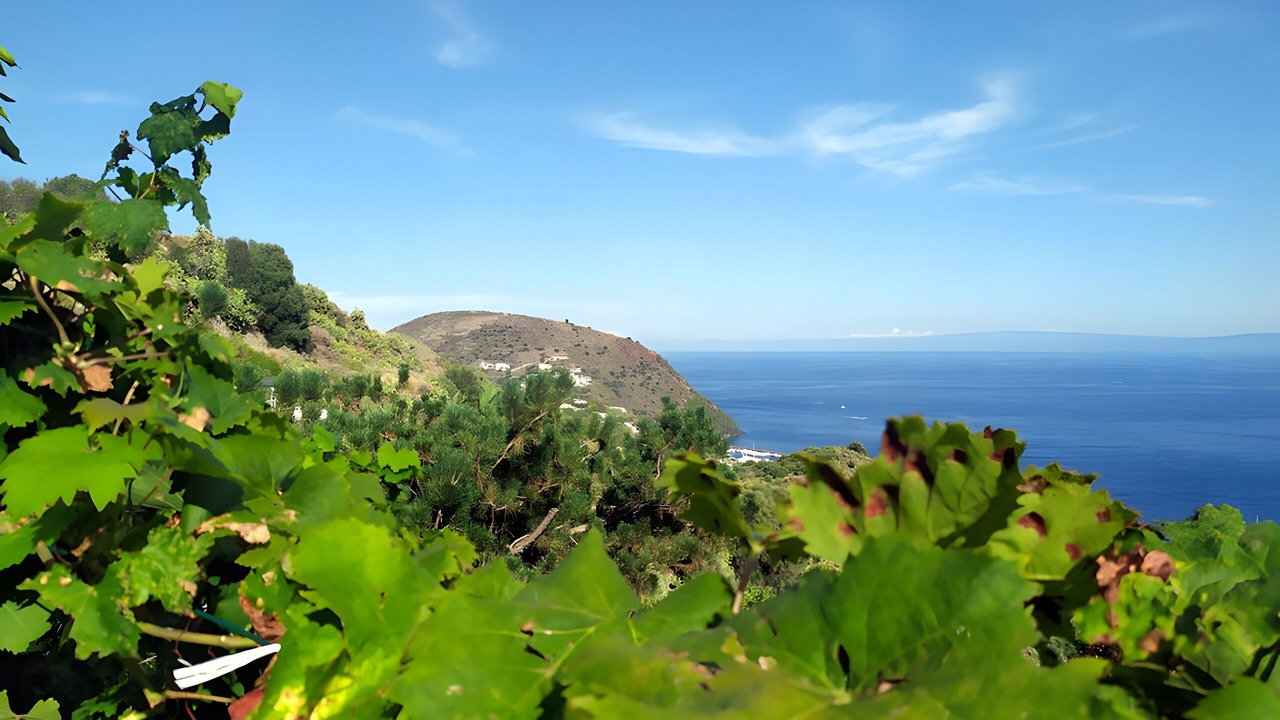 Photo of Others in Lipari