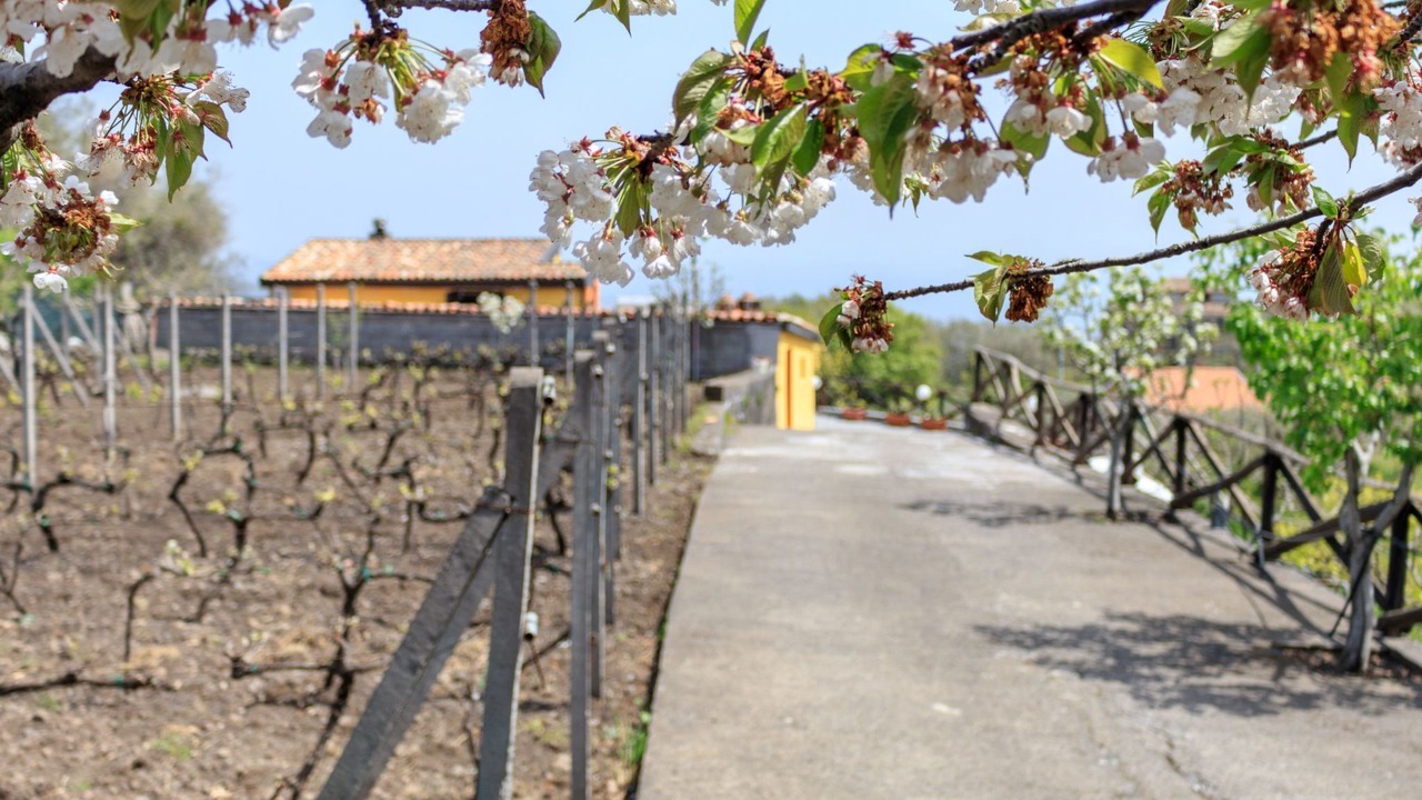 Photo of Outdoor in Piedimonte Etneo