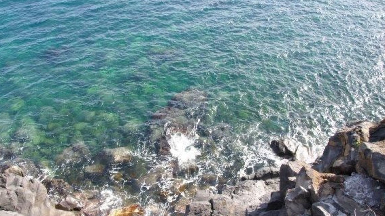 Photo of Others in Santa Tecla