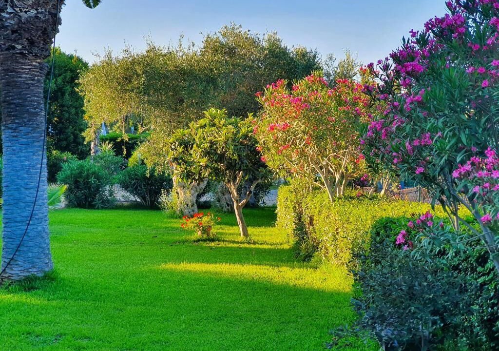 Photo of Outdoor in Augusta