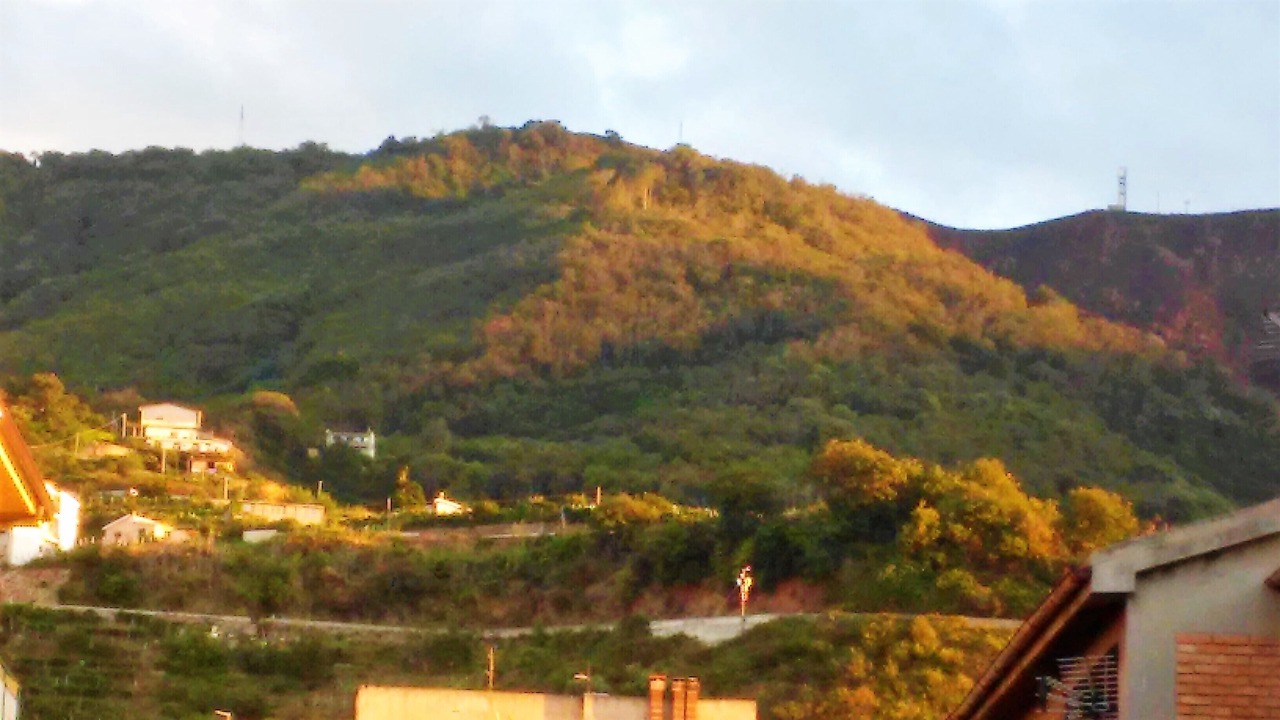 Photo of Others in Scilla