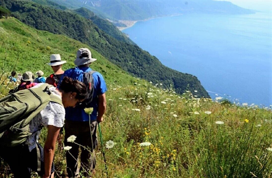 Photo of Others in Scilla