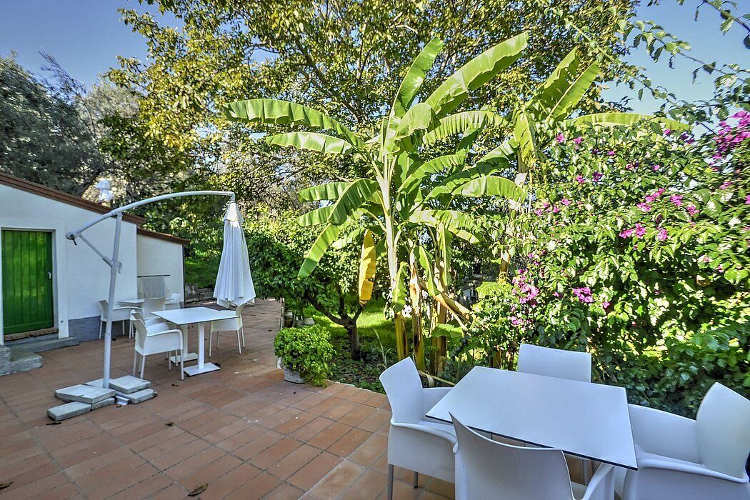 Photo of Outdoor in Mirto