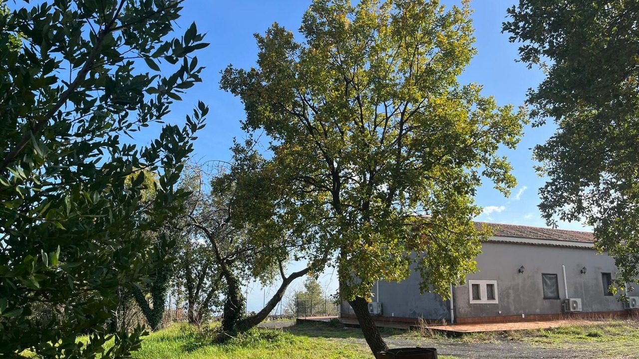 Photo of Outdoor in Mascali