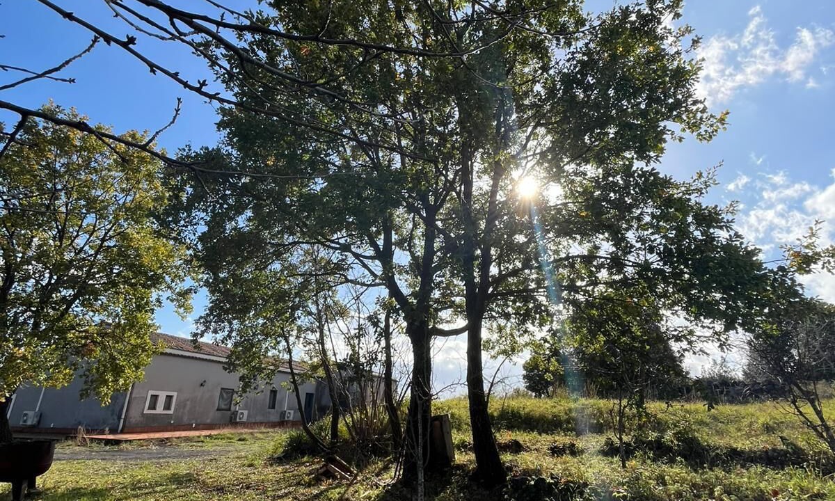 Photo of Outdoor in Mascali