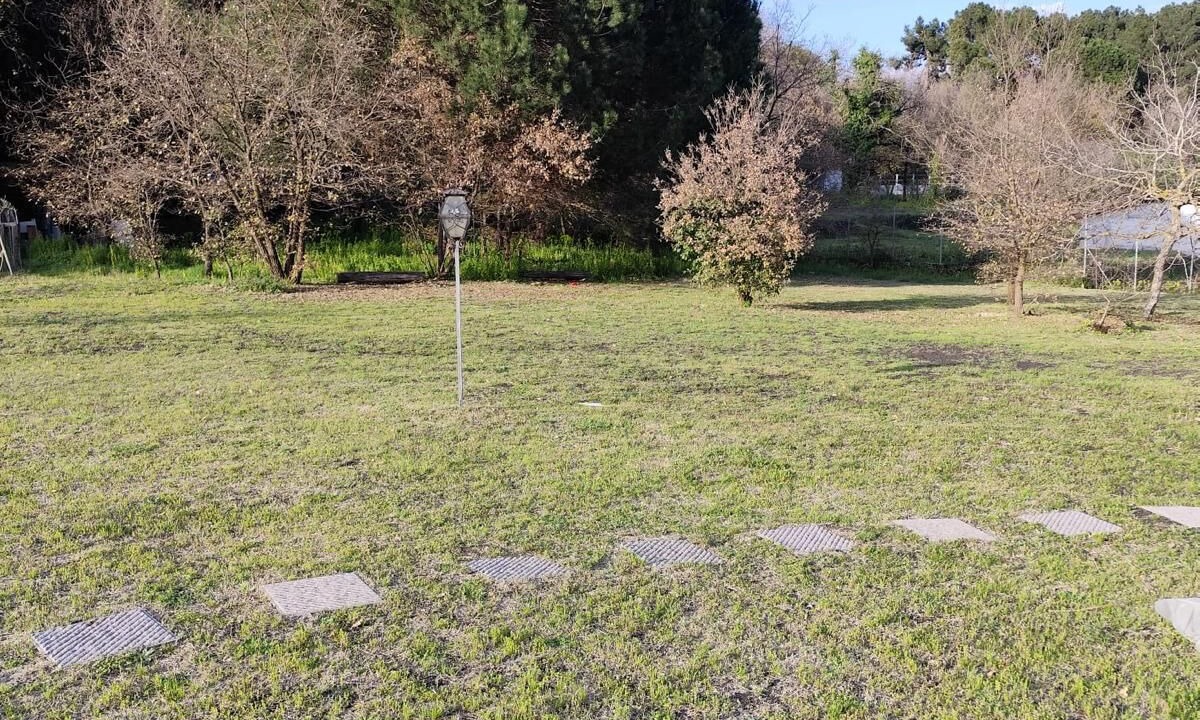 Photo of Outdoor in Pedara