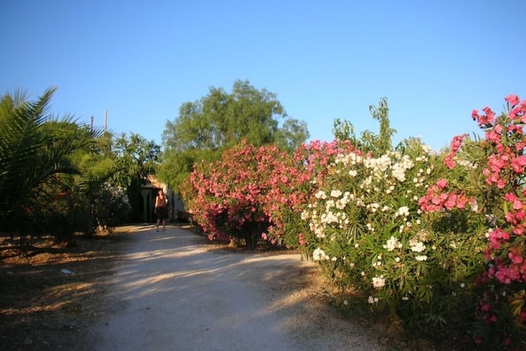 Photo of Outdoor in Buseto Palizzolo