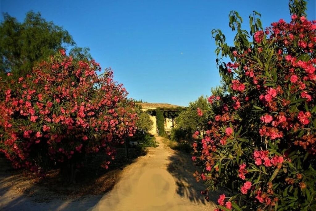 Photo of Outdoor in Buseto Palizzolo
