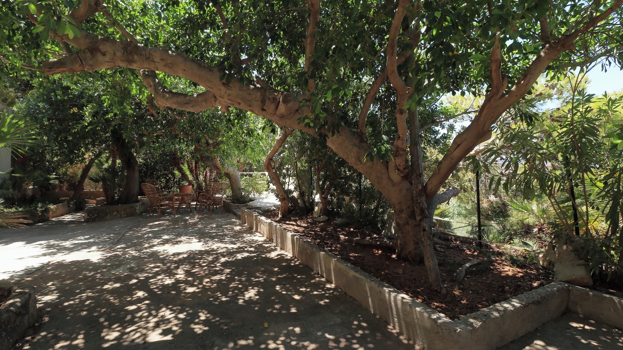 Photo of Outdoor in Aspra