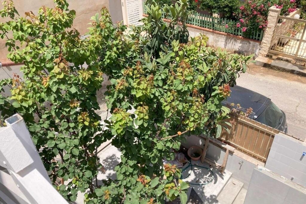 Photo of Outdoor in Scoglitti