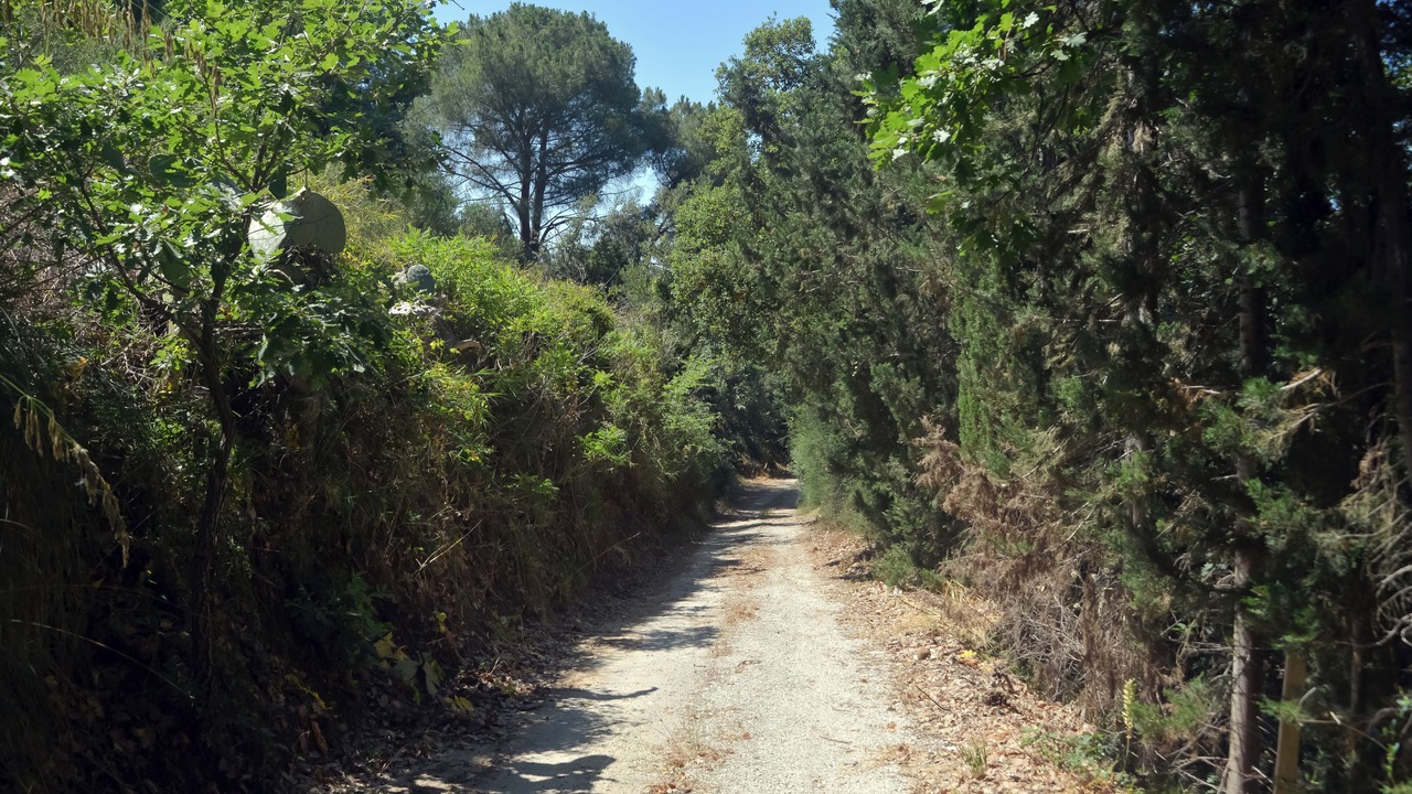 Photo of Others in Calatafimi