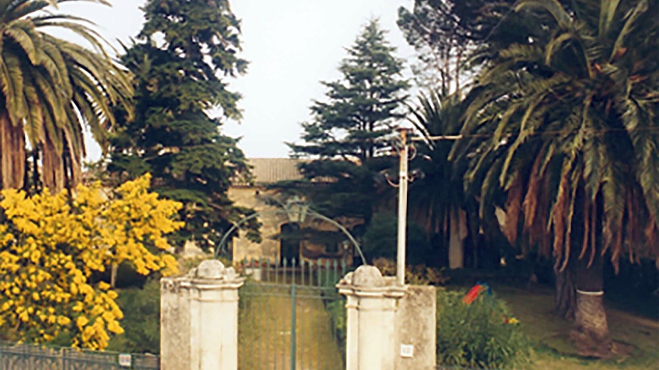 Photo of Outdoor in Trecastagni
