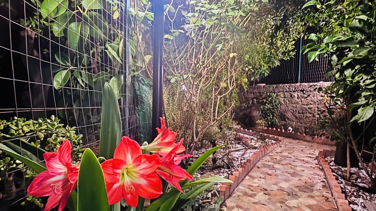 Photo of Outdoor in Furnari