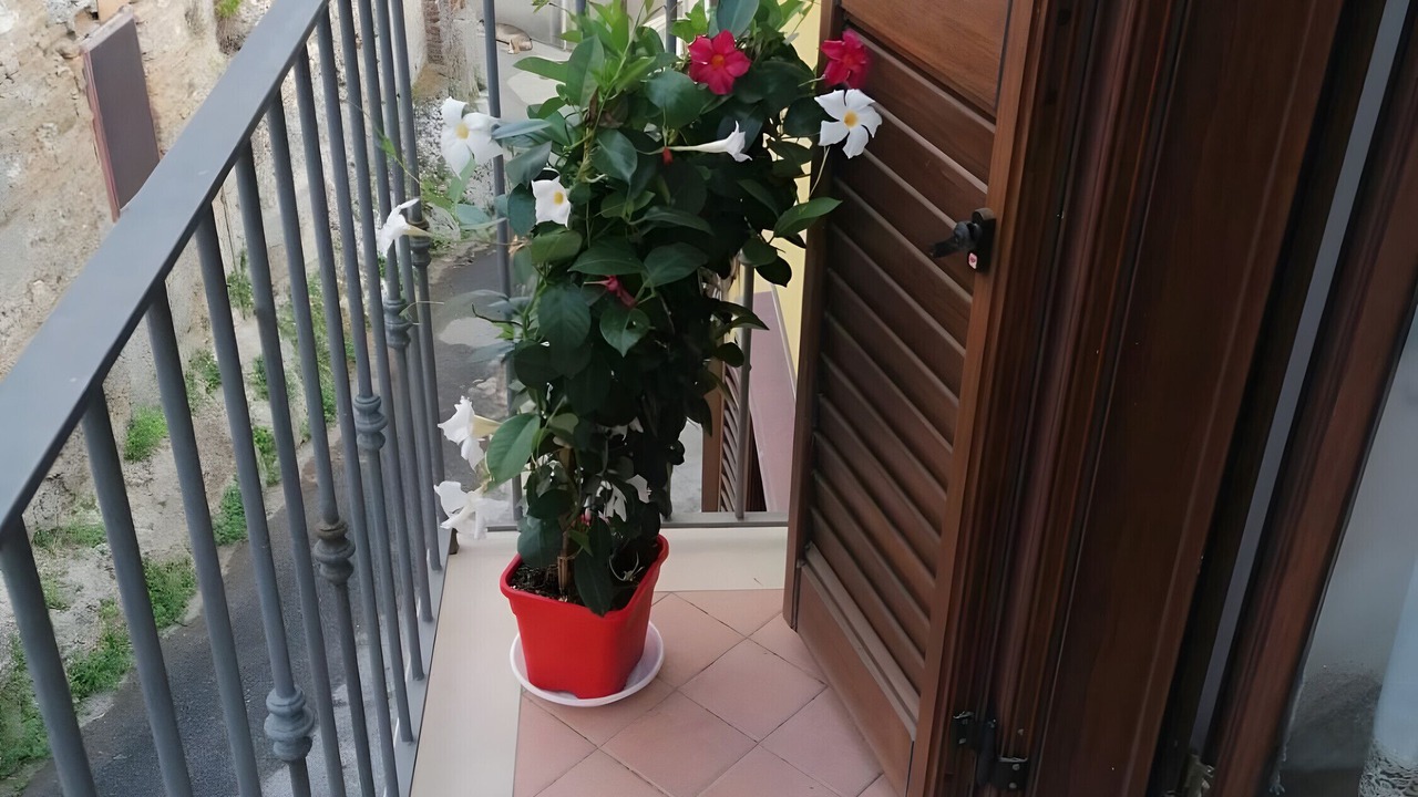 Photo of Outdoor in Province of Messina