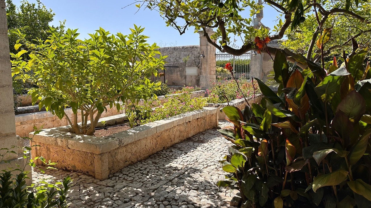 Photo of Outdoor in Casa Papa