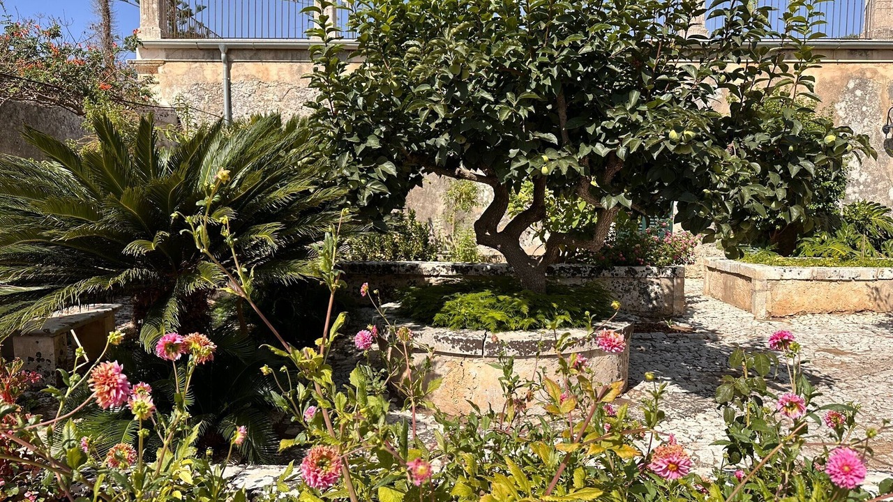 Photo of Outdoor in Casa Papa