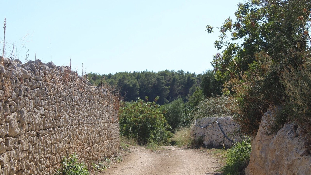 Photo of Others in Rigolizia