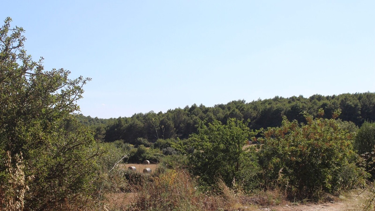 Photo of Others in Rigolizia