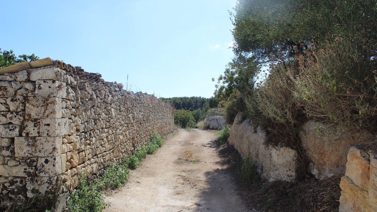 Photo of Others in Rigolizia