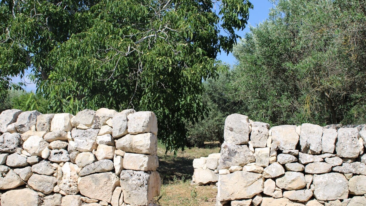 Photo of Outdoor in Rigolizia