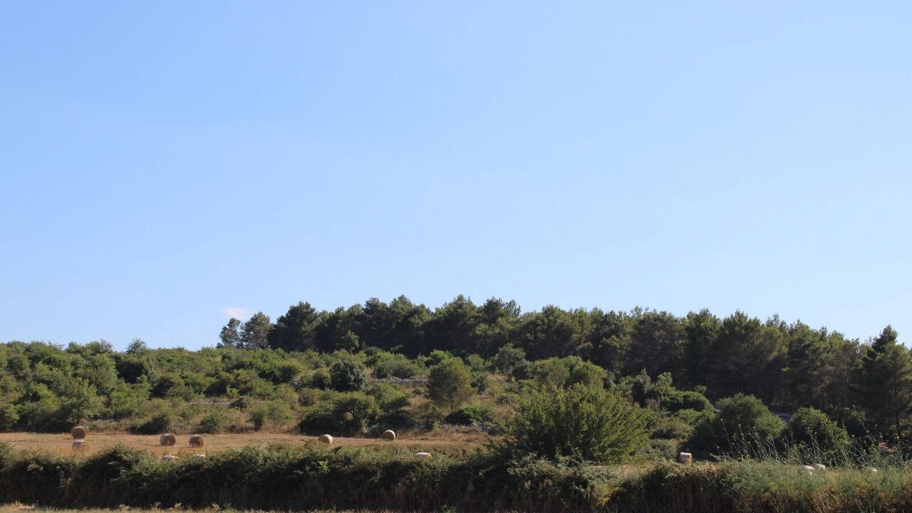 Photo of Others in Rigolizia