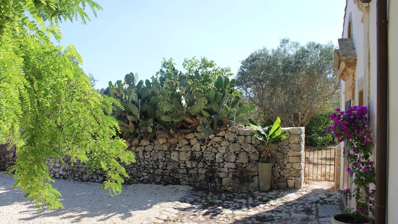 Photo of Outdoor in Rigolizia