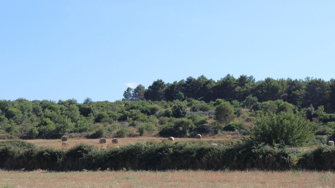 Photo of Others in Rigolizia