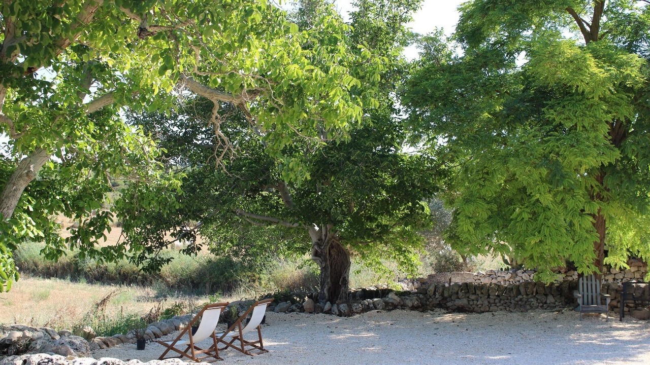 Photo of Outdoor in Rigolizia