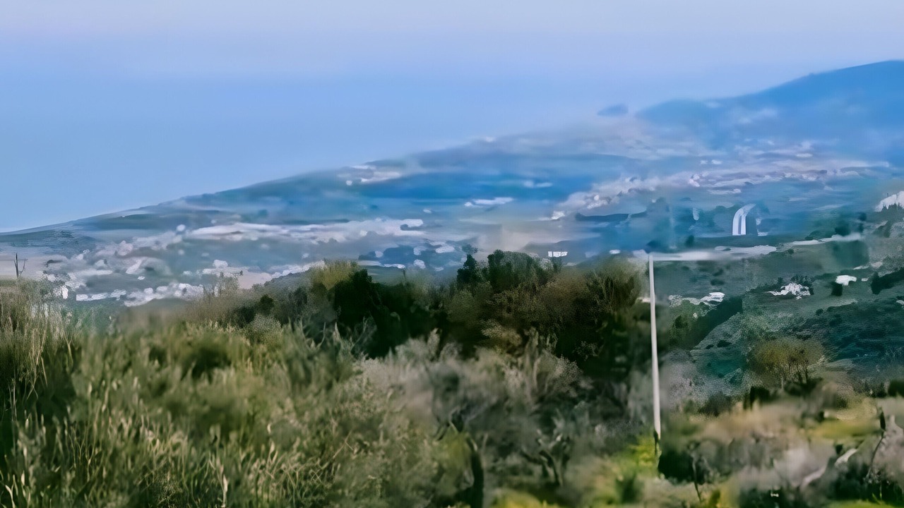 Photo of Others in Militello Rosmarino