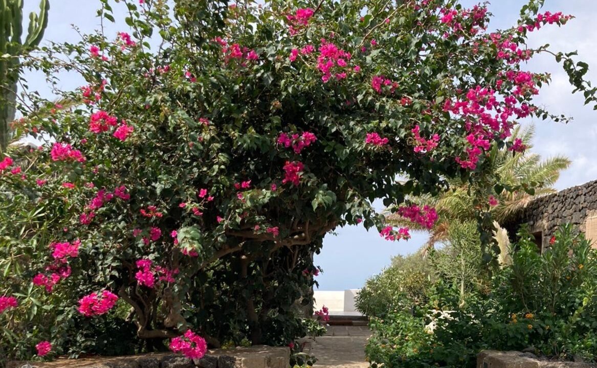 Photo of Outdoor in Localita Cimillia