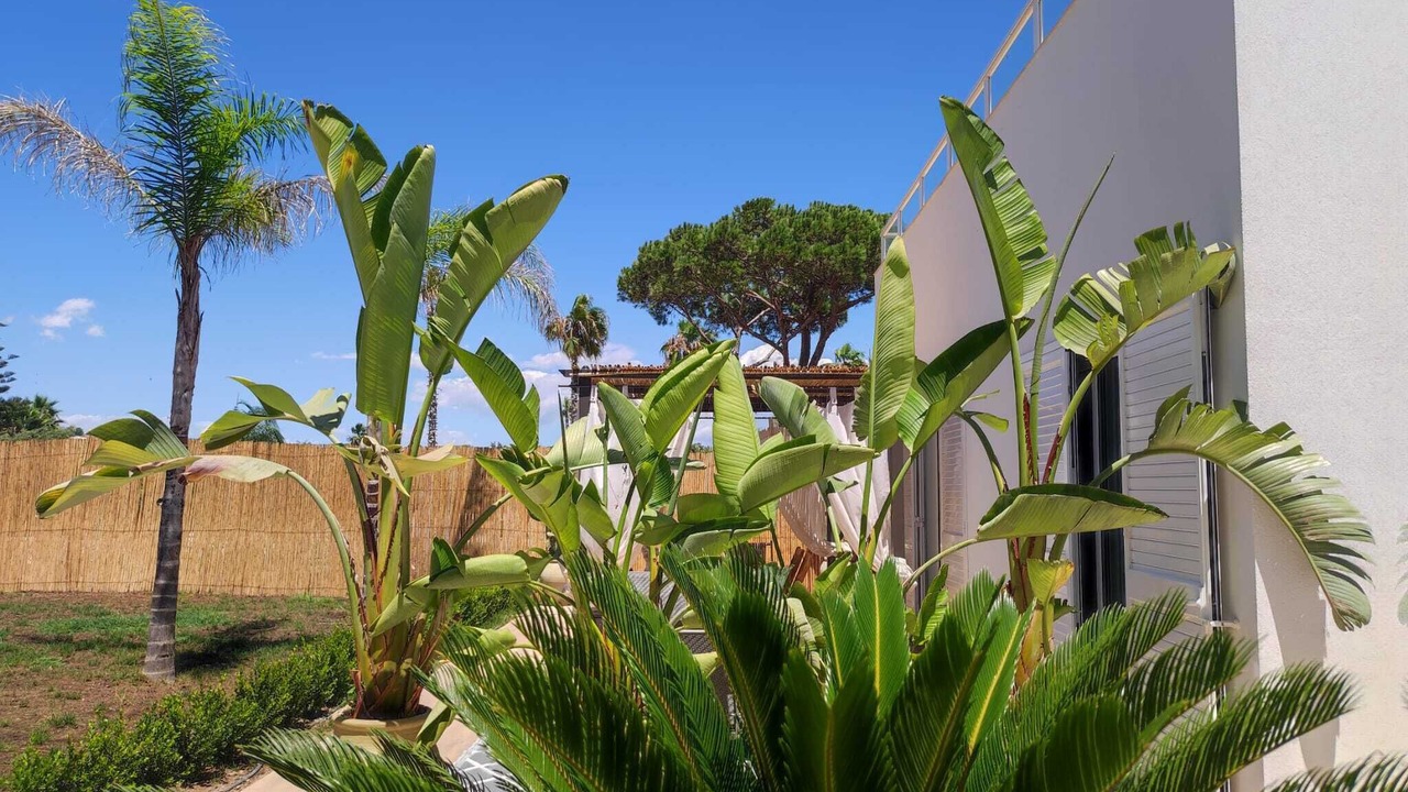 Photo of Outdoor in Ispica
